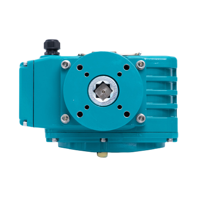 Rotary Electric Actuator
