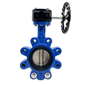Lug Butterfly Valve With Lever