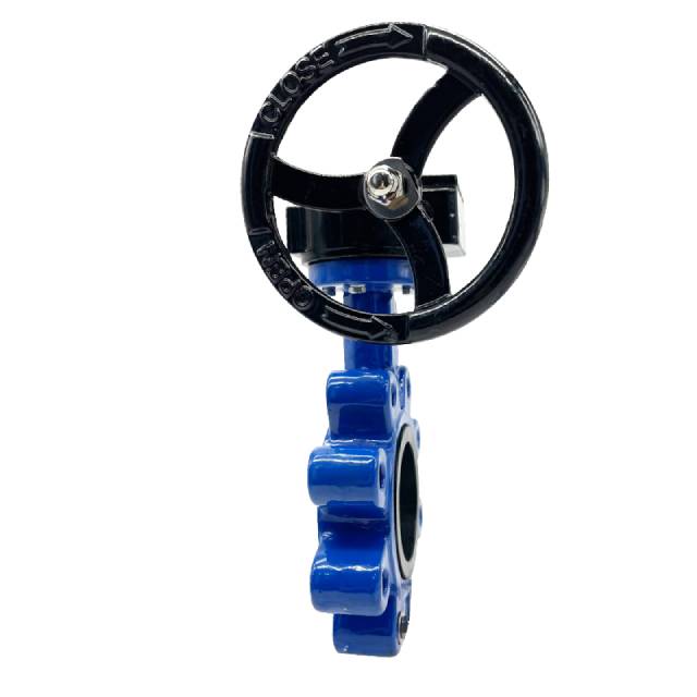 Lug Butterfly Valve With Lever