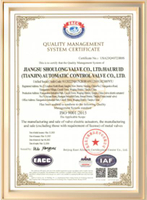 ISO9001 Certificate