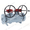 Class 1500 A105 Twin Ball DBB Valve with Worm Gear Operation