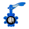 Lug Butterfly Valve With Lever