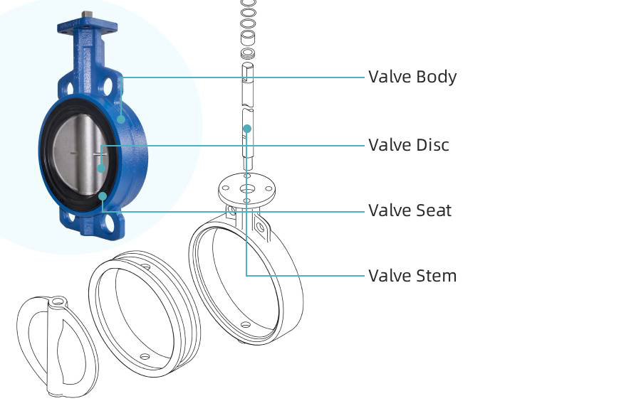Butterfly Valve Details