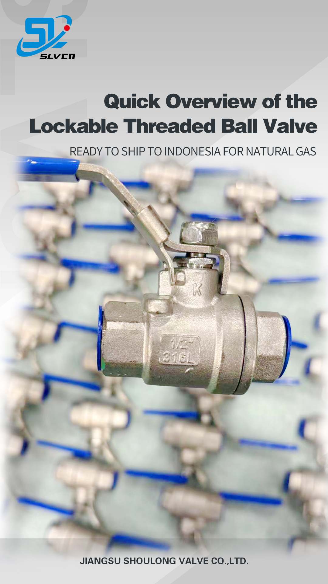 Quick Overview Lockable 316L Threaded Ball Valve Natural Gas Pipeline