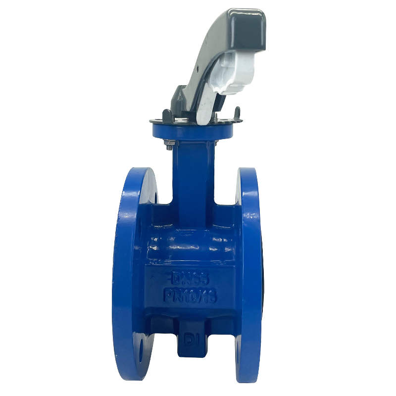 Flanged Butterfly Valve with Lever Handle
