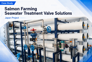 Butterfly Valve Case Study.jpg