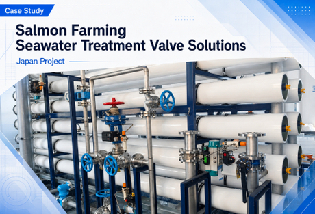 Butterfly Valve Case Study.jpg