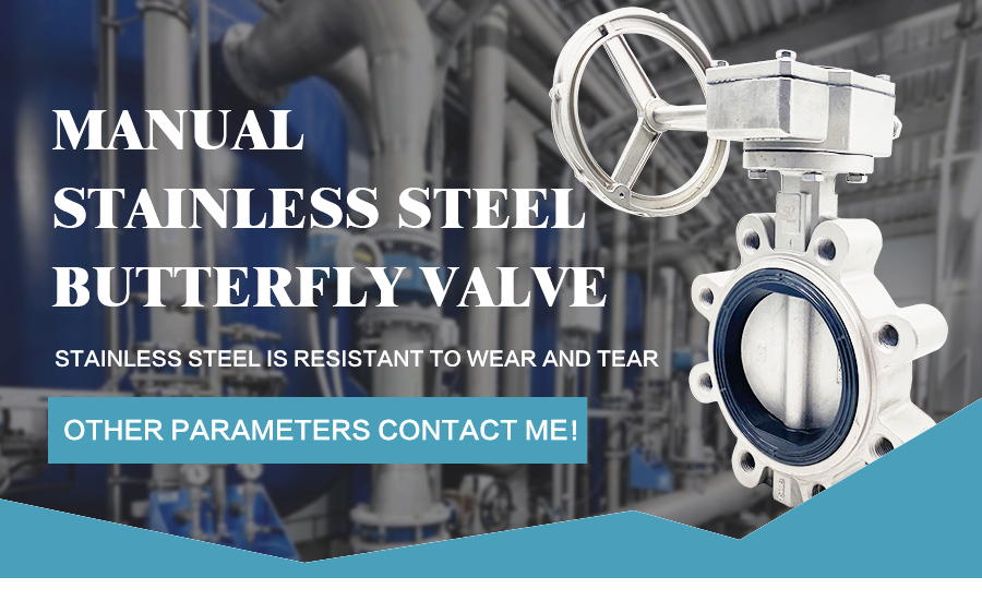 lug type butterfly valve