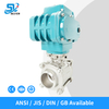 Electric Butt Welding Ball Valve